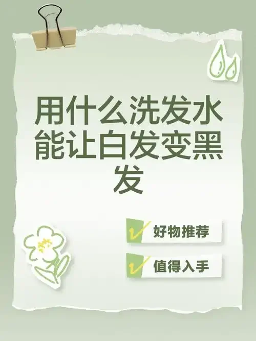 黑发养生酒酿造工作台：玻璃罐中深色药酒与何首乌、黑芝麻等食材_1