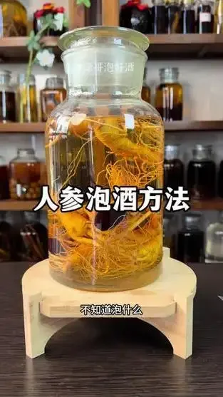 微距拍摄的人参泡酒特写，展示酒坛内人参、枸杞等药材与琥珀色酒液的完美融合_1