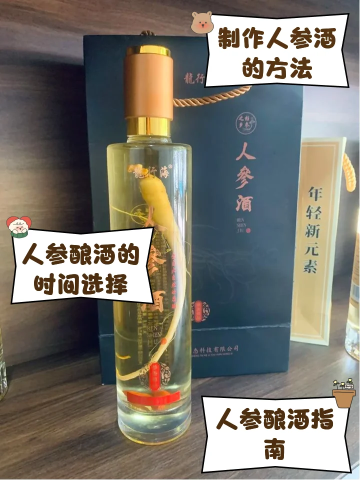 家庭自酿鲜人参泡酒特写，展示透明酒罐中琥珀色酒液和完整鲜人参的细节_1