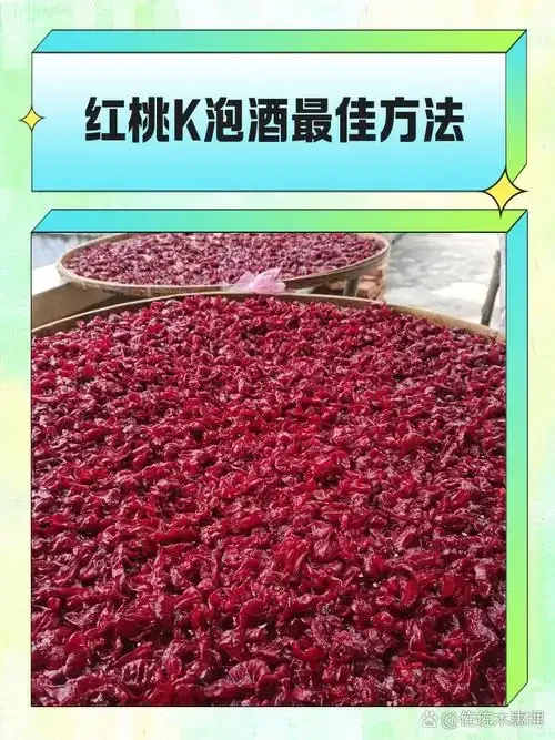红毛丹泡酒材料与密封罐展示：新鲜红毛丹、柠檬、枸杞在透明酒液中_1