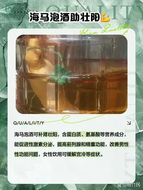 酿酒师展示海马与肉苁蓉泡酒的透明玻璃罐，酒液呈琥珀色，药材清晰可见_1