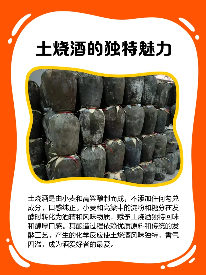 一个装有土龙和各种中药材的透明玻璃泡酒罐特写，展示了自制土龙药酒的原料与色泽_1