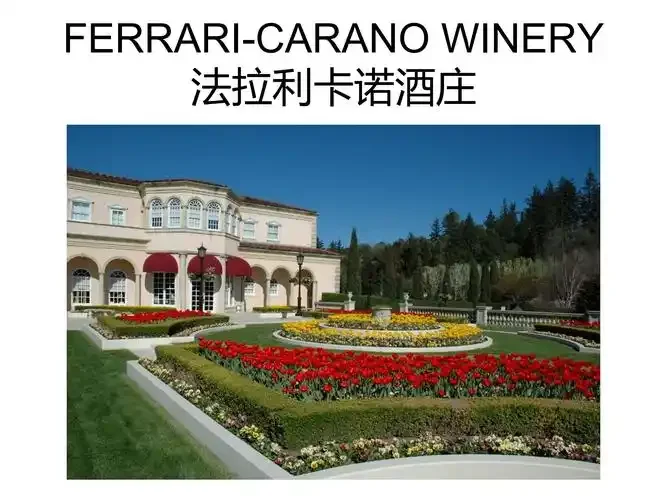 家庭自酿红葡萄酒发酵过程实拍：透明发酵罐中的深紫红色葡萄醪，旁边放着新鲜葡萄和酿酒工具。_1