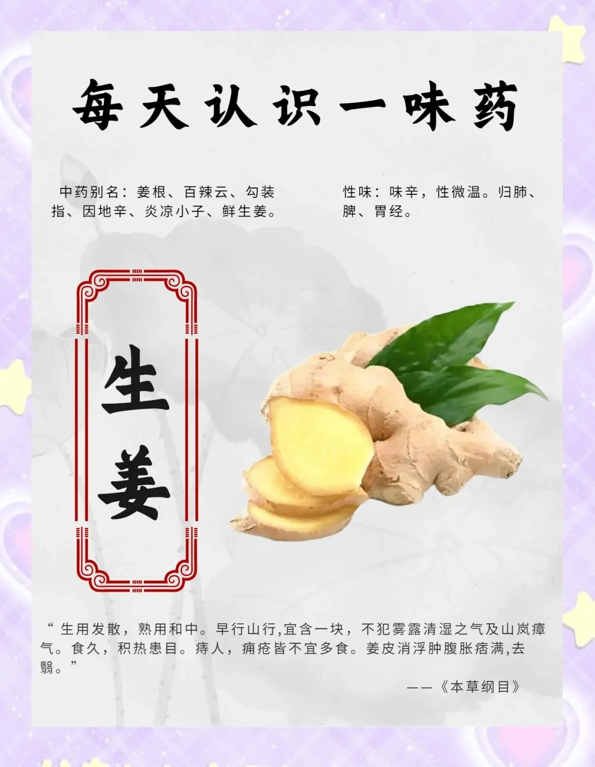 家庭自制生姜泡酒过程展示：玻璃罐中金黄的生姜酒液与辅料，旁边是新鲜的生姜原料。_1
