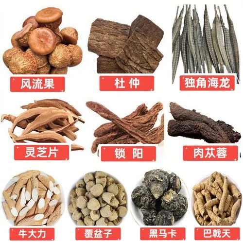 家庭自制人参牛鞭泡酒实拍图，酒坛内有完整牛鞭和人参_1