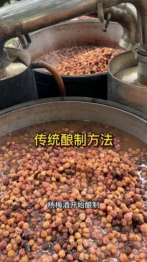 家庭杨梅酒制作过程：将杨梅与冰糖分层放入透明玻璃罐_1