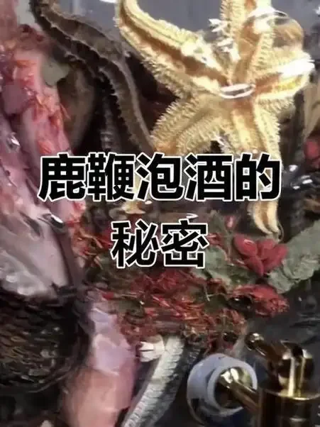 鹿鞭泡酒黄金比例实物展示：50度白酒、处理干净的鹿鞭段与枸杞在玻璃罐中浸泡的场景_1