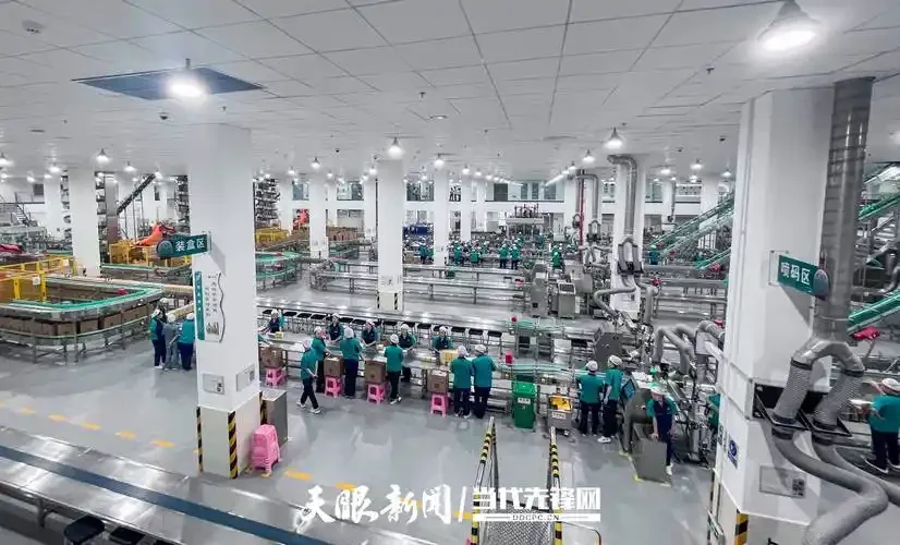 现代白酒生产线车间实景图，展示蒸煮、发酵、灌装等主要工段的设备布局_1