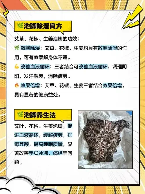 传统艾草泡酒，玻璃酒坛中艾草碧绿舒展，浸泡在清澈酒液中，展现家庭自酿养生酒的自然美感。_1