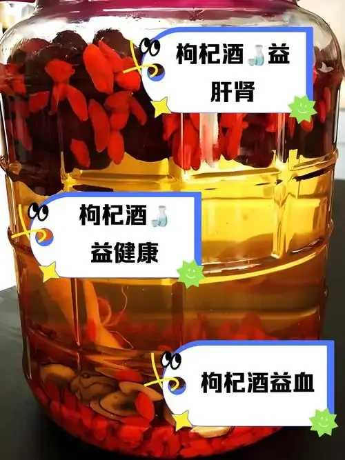 海马枸杞泡酒材料展示，透明玻璃罐中浸泡着海马干和枸杞_1