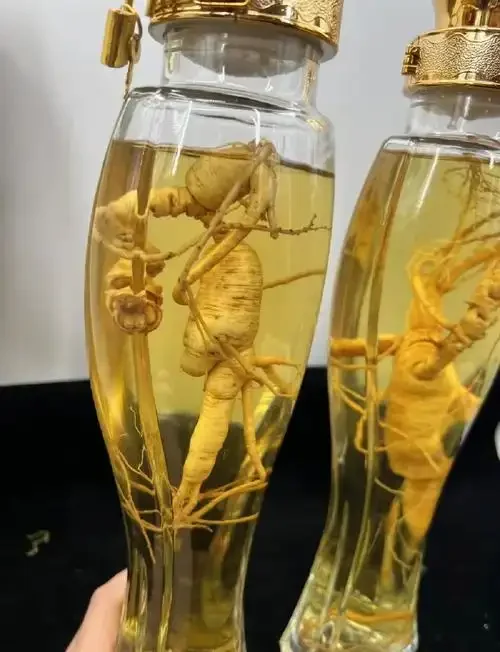 茜草根和人参在透明玻璃酒罐中浸泡的实物照片，展示了药酒的真实色泽与材料形态。_1