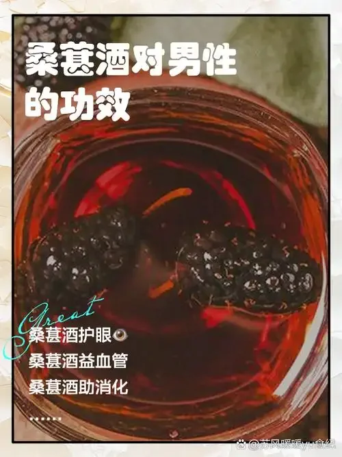 正在浸泡中的桑黄枸杞酒特写，瓶中酒液清澈，可见桑黄片与枸杞，背景为酿酒材料和工具。_1