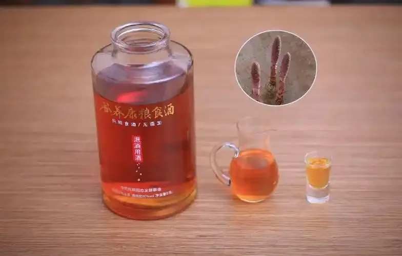 家庭自制的锁阳子养生酒，透明酒坛中可见锁阳子与枸杞，酒液呈琥珀色，旁边散落着原料和传统书法标签。_1