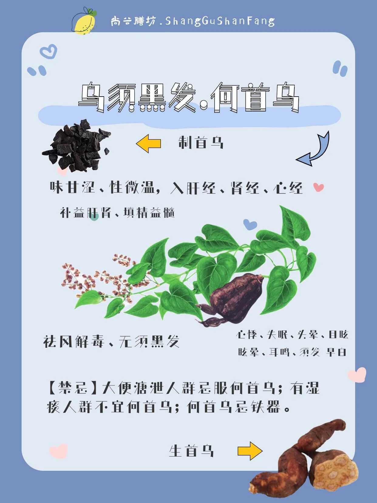 血首乌强心酒药材配伍与浸泡效果展示图：玻璃酒坛中浸泡着制何首乌、枸杞等药材，酒液呈琥珀色。_1