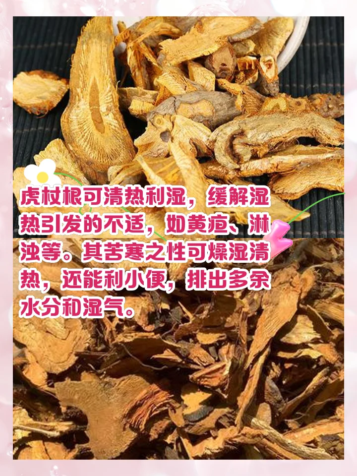 坐骨神经痛泡酒配方所需中药材料展示，包括玻璃泡酒罐、杜仲、当归、牛膝、枸杞等药材。_1