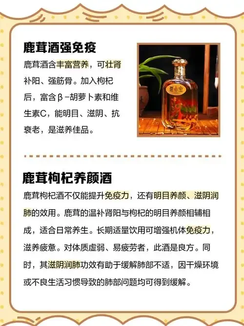 家庭自制鹿茸枸杞红枣泡酒原料展示：广口玻璃瓶中浸泡着鹿茸、红枣和枸杞，旁边散落着少量未放入的原料。_1