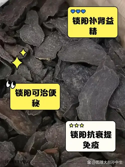 正在浸泡中的锁阳酒坛特写，展示干锁阳与酒液融合的状态_1