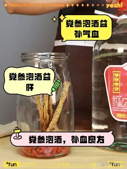 党参泡酒经典配方展示：桌上玻璃罐内为党参枸杞酒与党参黄芪酒，旁边散落着中药材原料。_1