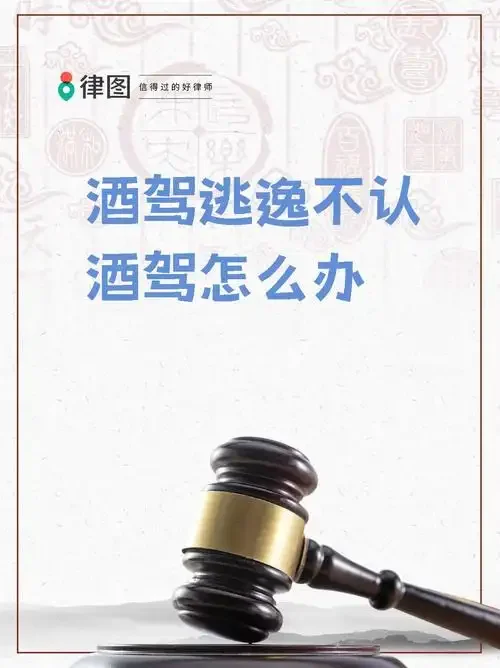 酒驾现场进行酒精检测的警示场景_1