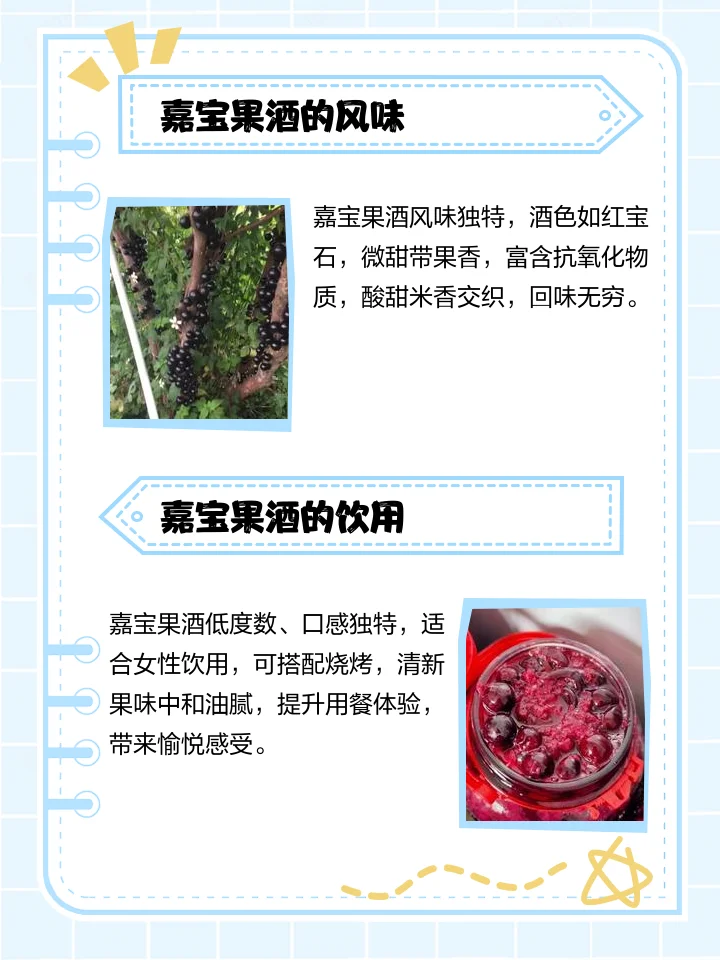 家庭自制嘉宝果泡酒：装满紫色嘉宝果和冰糖的透明玻璃罐特写_1