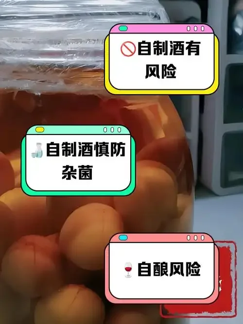 家庭自制李子酒：装有李子、冰糖和酒的透明玻璃罐特写_1