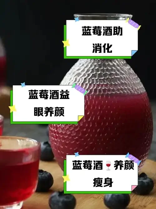 家庭自制蓝莓泡酒成品展示：透明玻璃罐中深紫色酒液与蓝莓果粒_1