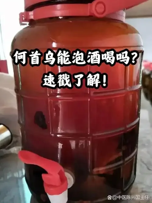 自制黑发养生泡酒材料展示：透明玻璃罐中浸泡着何首乌、枸杞等药材，旁边摆放着药材和传统配方纸。_1