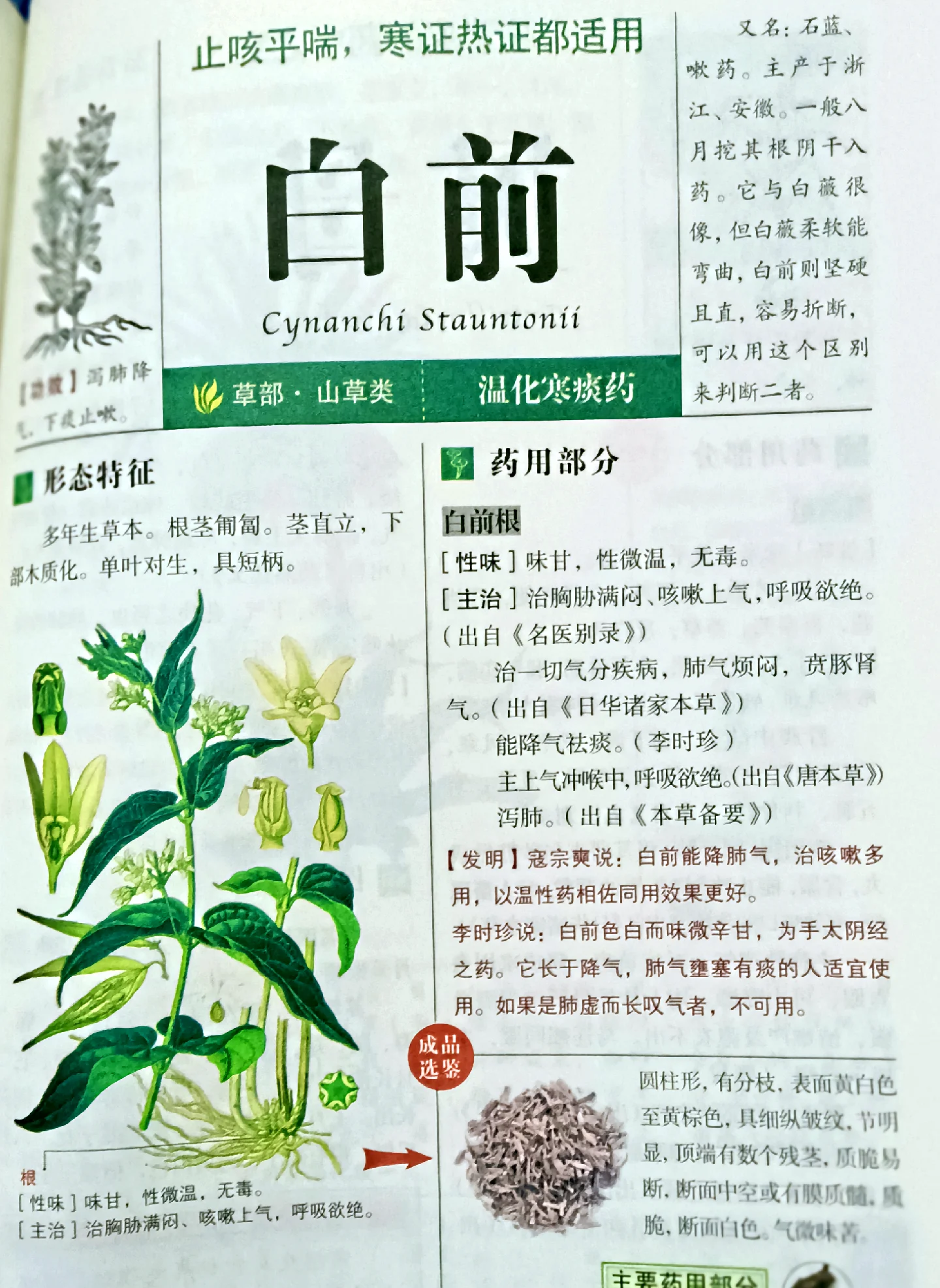 正在浸泡中的天南星药酒特写，展示透明玻璃罐、酒液与药材的细节。_1