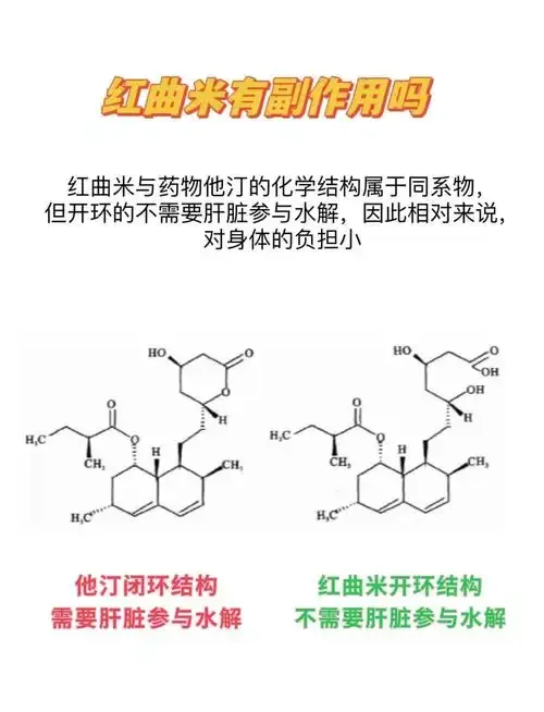 传统酿酒作坊工作台特写：陶缸内玫红色红曲米酒醪正在发酵，旁边展示着大米、红曲米、酒曲等原料和量具。_1