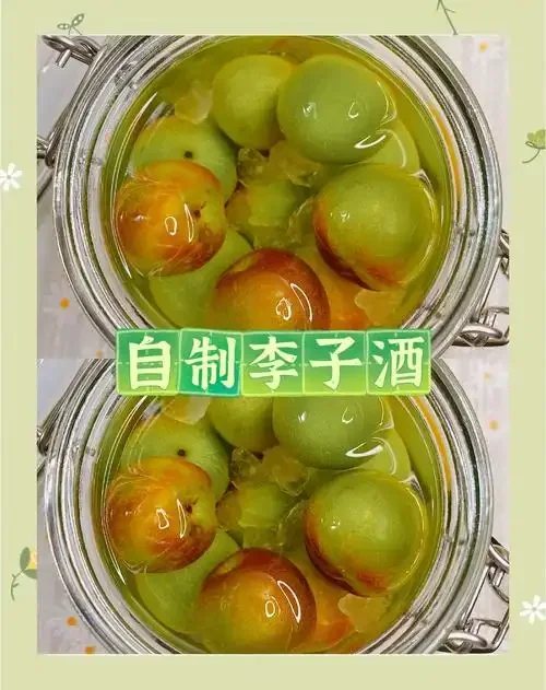 正在进行中的李子酒发酵罐特写，可以看到气泡和深紫红色的酒液。_1
