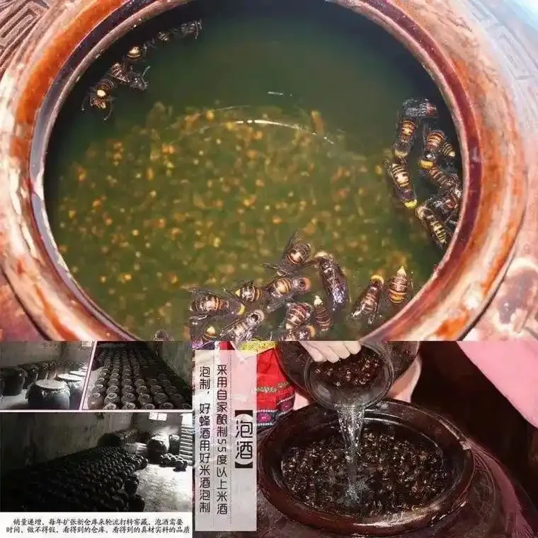 酿酒师视角下的虎头蜂泡酒实拍：透明玻璃罐中的虎头蜂与粮食酒_1