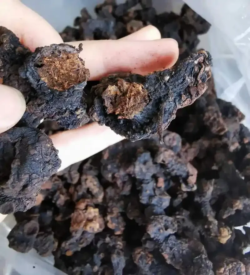 老虎姜泡酒制作过程实拍：玻璃罐中金黄姜片与透明白酒的清晰分层，展示最佳原料比例与浸泡状态_1