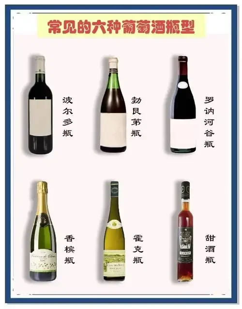 葡萄汁酒（左）与葡萄酒（右）的对比图，中间辅以工艺手稿，直观展示两种酒的核心差异_1