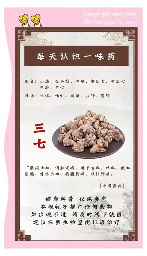 三七根泡酒制作过程展示：玻璃罐中三七根与酒液清晰可见，旁有配料和笔记_1