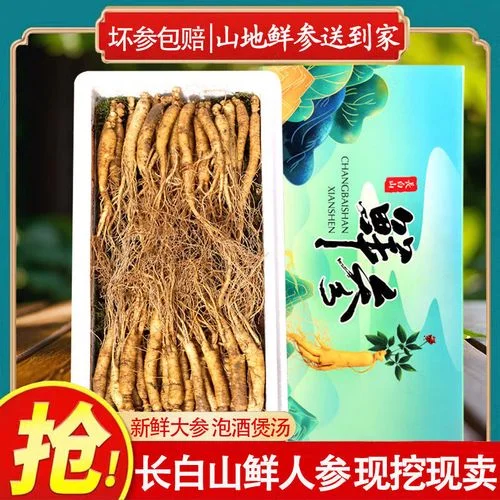 鲜人参泡酒配方展示：玻璃罐中的鲜人参、枸杞等材料清晰可见_1