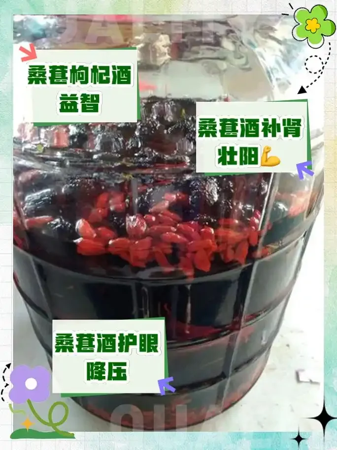 家庭酿酒工作台展示泡酒后的桑葚再利用成果：桑葚醋、桑葚饲料和桑葚蒸馏酒_1