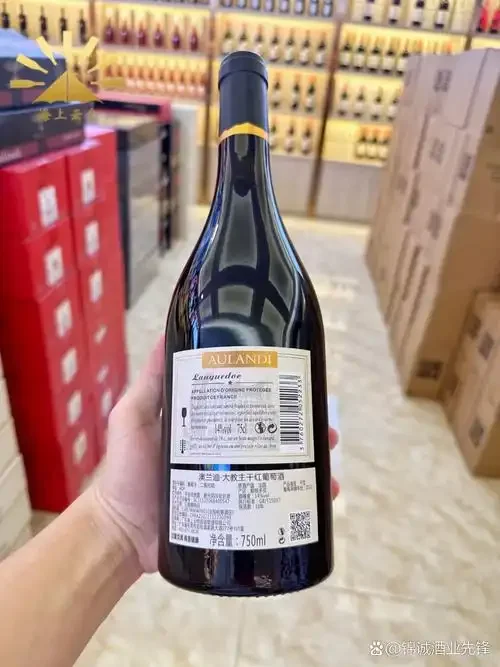 正在发酵罐中进行二次发酵的兰布鲁斯克红葡萄酒，呈现清澈的浅红色与细腻气泡，旁边散落着酿酒工具。_1