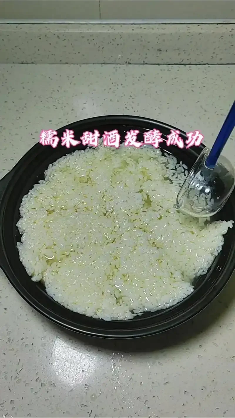 一碗拌好酒曲的紫红色血糯米饭，准备进入发酵阶段，旁边摆放着酿酒工具_1