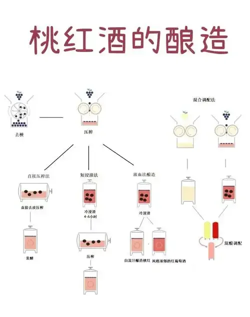 在家自酿葡萄酒：双手正在玻璃罐中捏碎深紫色葡萄，准备开始发酵_1