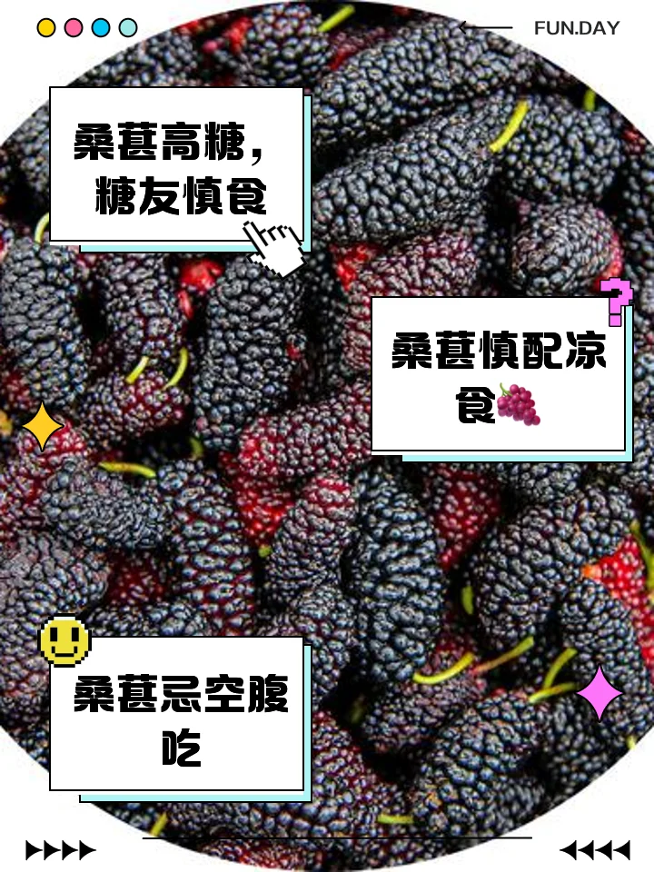 桑葚加冰糖在玻璃发酵罐中自然发酵的特写，展示果肉与糖混合的初始状态。_1