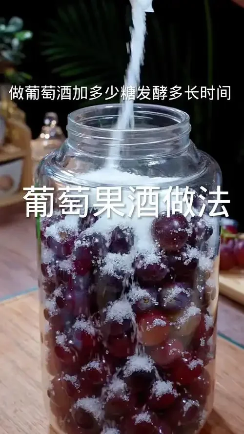 家庭自酿葡萄酒发酵过程实拍，透明发酵罐中紫色葡萄汁正在发酵，清晰可见气泡和果肉_1