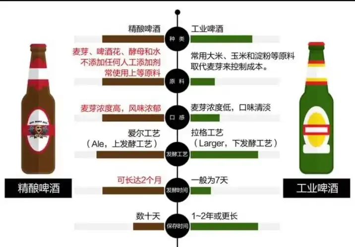 精酿啤酒家庭酿造场景，展示煮沸中的麦汁、啤酒花、各种麦芽以及发酵罐和成品啤酒瓶_1