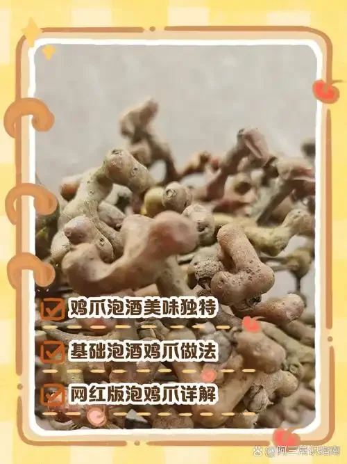 一瓶自制的金黄色鸡爪果泡酒特写，可以看到瓶中的鸡爪果和辅料，旁边放着新鲜鸡爪果，背景是酿酒工作室。_1