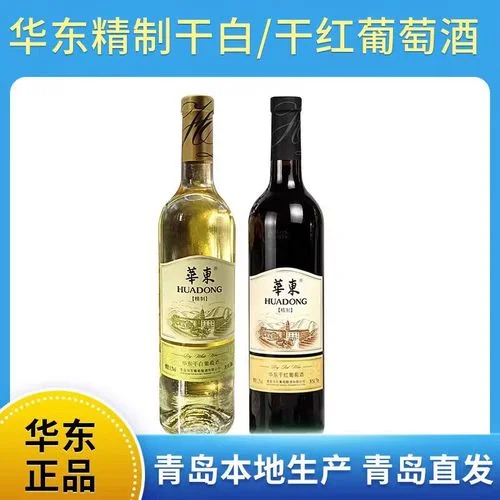 酿酒师在青岛葡萄园中检查赤霞珠葡萄成熟度_1
