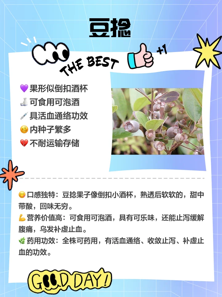 正在浸泡中的家庭自制桃金娘果酒特写，紫黑色果实与深红色酒液在玻璃罐中清晰可见。_1