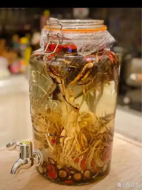 家庭自制肉苁蓉泡酒展示：透明玻璃罐中琥珀色酒液浸润着肉质饱满的肉苁蓉，搭配枸杞红枣，光线柔和，氛围温馨。_1