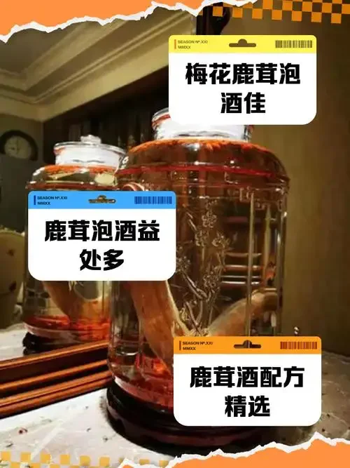 家庭自酿鹿茸酒场景：透明玻璃瓶中鹿茸切片清晰可见，浸泡在琥珀色酒液中，旁边是准备品尝的小酒杯。_1