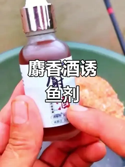 麝香泡酒制作过程展示:透明玻璃瓶中的金黄色酒液与麝香囊_1