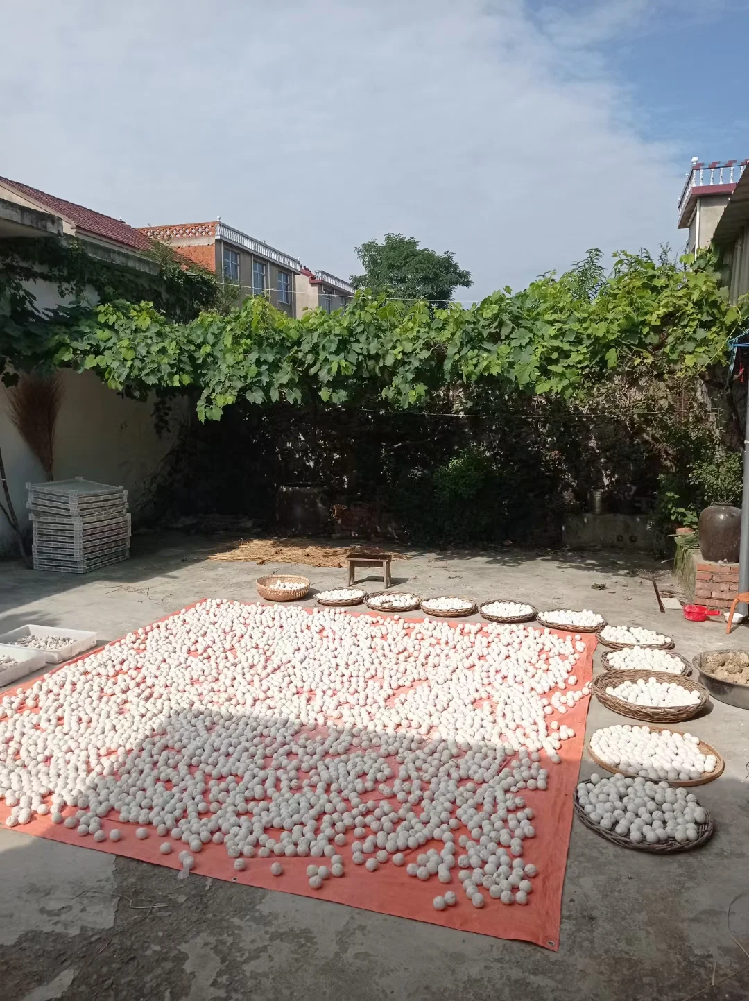 酿酒师用手展示一块自然的传统酒曲，背景是传统酿酒器具_1