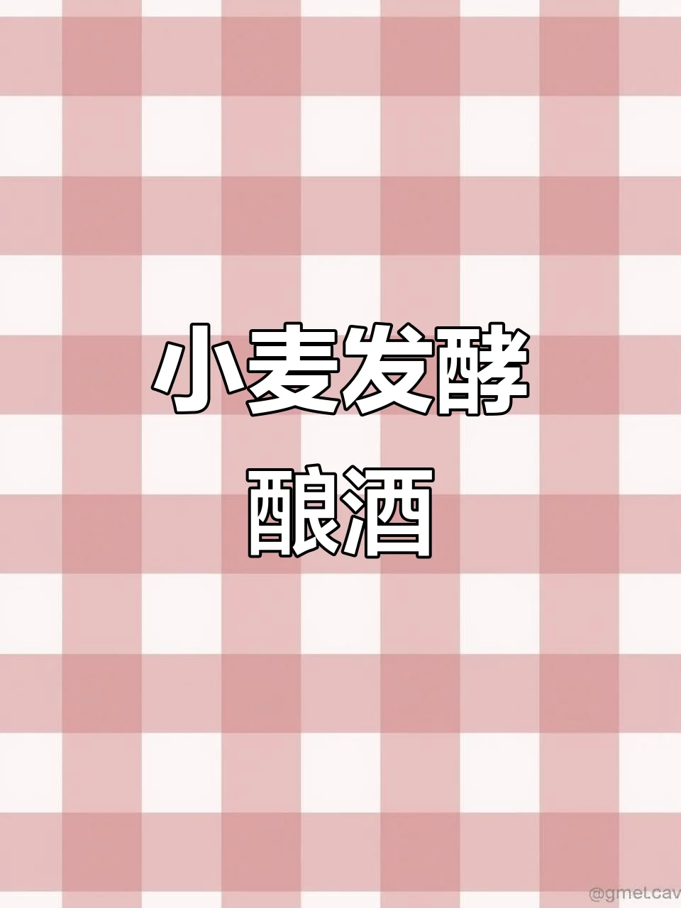 酿酒师将小麦放入传统蒸饭甑,展示小麦酿白酒的第一道工序——润粮与蒸煮。_1